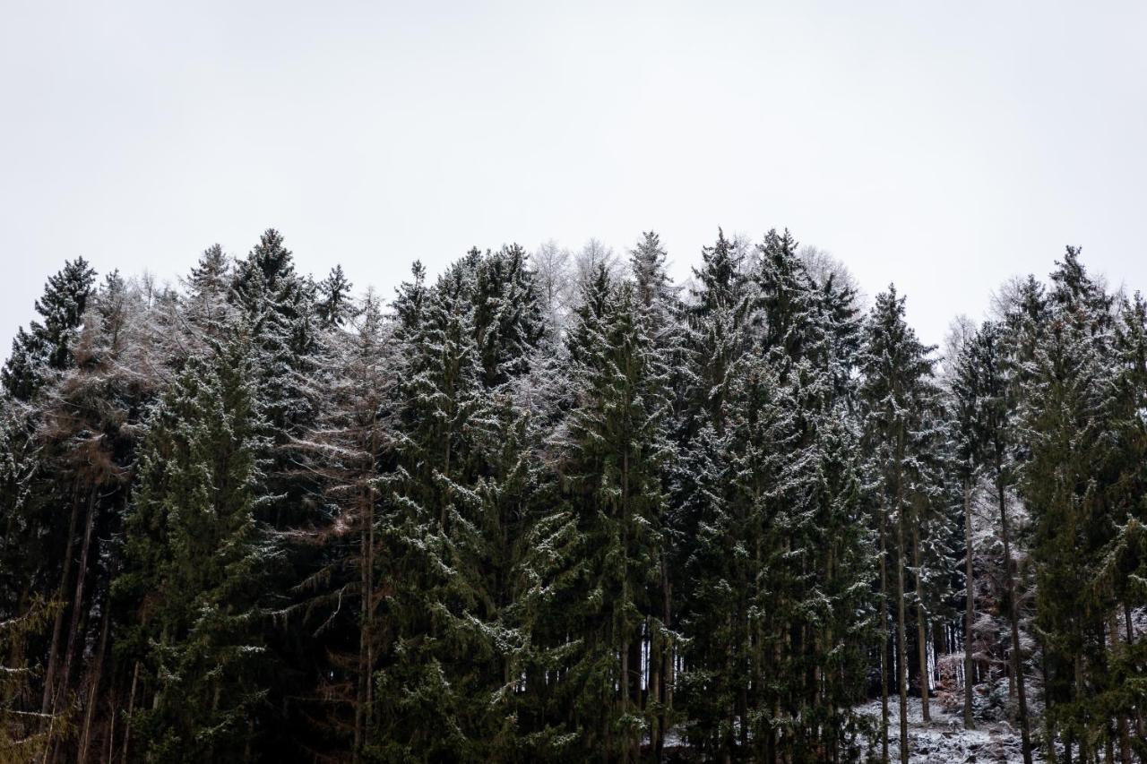 Hotel Tiefenhagen Sauerland Lennestadt Eksteriør bilde